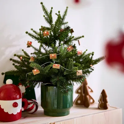 Ikea Vinterfint Christmas Plant Pot, Indoor/outdoor/green, 4 ¾ "