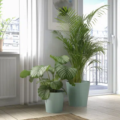 Ikea Vitlök Plant Pot, Indoor/outdoor/turquoise, 9 ½ "