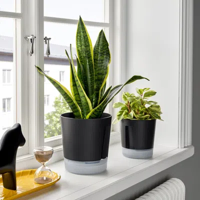 Ikea Vårdträd Self-watering Plant Pot, Indoor/outdoor Transparent/anthracite, 6 "