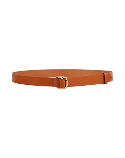 Il Bisonte Woman Belt Tan Size Onesize Leather In Brown