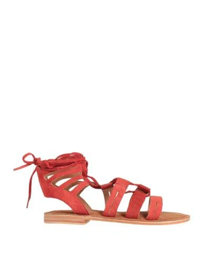 Il Coccodrillo Woman Sandals Brick Red Size 8 Leather