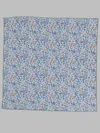 Il Gufo In Blue