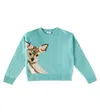 Shop Il Gufo Intarsia Virgin Wool Sweater In Blue