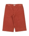 Il Gufo Babies'  Toddler Girl Pants Rust Size 3 Cotton, Elastane In Red