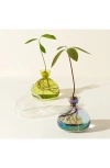 Ilex Studio Avocado Vase In Multi