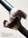 Ilia The Brush Edit