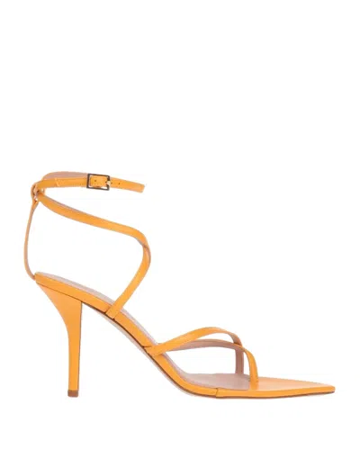 Ilio Smeraldo Toe Strap Sandals In Mandarin