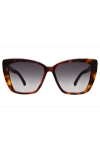 Illesteva Barcelona Sunglasses In Havana