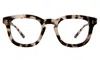 Illesteva Boston Optical In White Tortoise / Optical