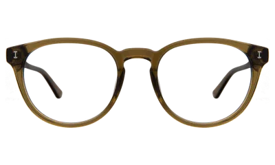 Illesteva Bristol Optical In Seaweed / Optical