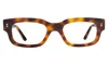 Illesteva Cali Optical In Havana / Optical
