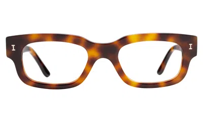 Illesteva Cali Optical In Havana / Optical
