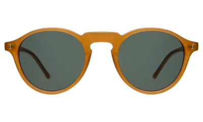 Illesteva Capri Sunglasses In Honey / Olive