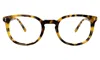 Illesteva Copenhagen Optical In Tortoise / Optical