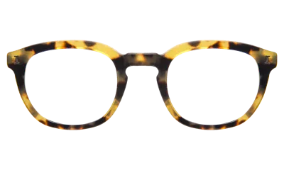 Illesteva David Optical In Tortoise / Optical
