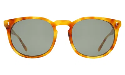 Illesteva Eldridge 56 Sunglasses In Amber / Olive Flat