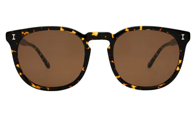 Illesteva Eldridge 56 Sunglasses In Flame / Brown Flat