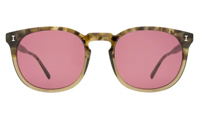 Illesteva Eldridge 56 Sunglasses In Kale / Plum Flat See Through