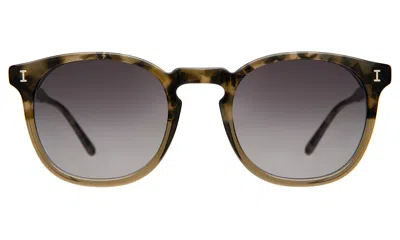 Illesteva Eldridge Sunglasses In Brown