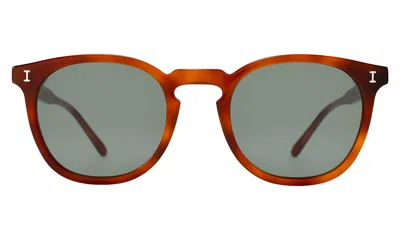 ILLESTEVA ELDRIDGE SUNGLASSES