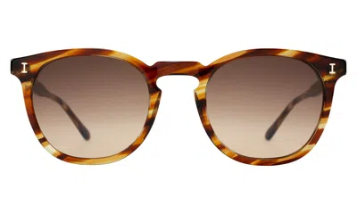 Illesteva Eldridge Sunglasses In Brown