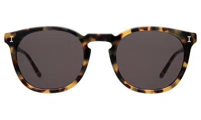 Illesteva Eldridge Sunglasses In Brown