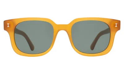 ILLESTEVA ELLISON SUNGLASSES