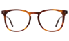 Illesteva Essex Optical In Havana / Optical