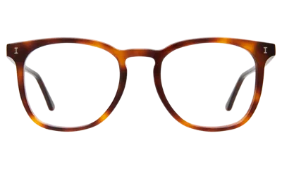 Illesteva Essex Optical In Havana / Optical