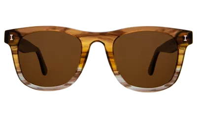Illesteva James Sunglasses In Golden Cedar / Brown