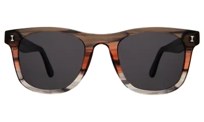 Illesteva James Sunglasses In Sedona / Grey