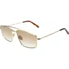Illesteva Jane Sunglasses Sunglasses In Gold/taupe Gradient