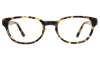 Illesteva Kent Optical In Tortoise / Optical
