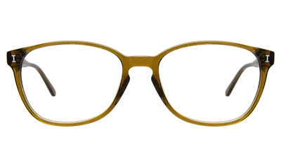 Illesteva Leeds Optical In Havana / Optical