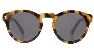 Illesteva Leonard (classic Flex Hinge) Sunglasses In Matte Honey Tortoise / Grey
