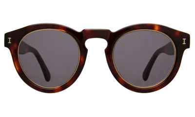 Illesteva Leonard Ring Sunglasses In Havana / Grey