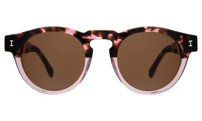 Illesteva Leonard Sunglasses In Cherry Blossom / Brown