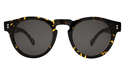 Illesteva Leonard Sunglasses In Flame / Grey