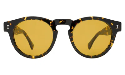 Illesteva Leonard Sunglasses In Flame / Honey See Through