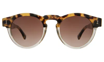Illesteva Leonard Sunglasses In H/h Tortoise Champagne / Brown Gradient