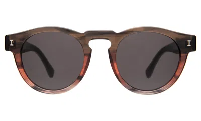Illesteva Leonard Sunglasses In Sedona / Grey