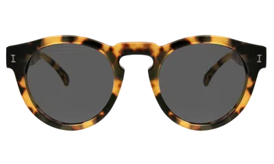 Illesteva Leonard Sunglasses In Tortoise / Grey