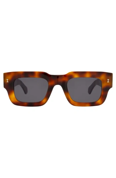 Illesteva Lewis Sunglasses In Brown