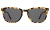 Illesteva Max Sunglasses In Tortoise / Grey Flat
