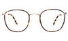 Illesteva Mayfair Optical In Tortoise/rose Gold / Optical