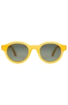 Illesteva Medellin Sunglasses In Yellow