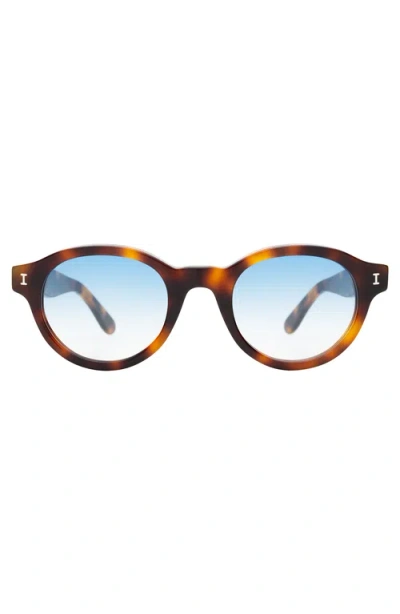 Illesteva Medellin Sunglasses In Gray