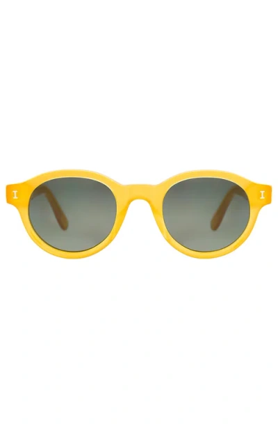 Illesteva Medellin Sunglasses In Yellow