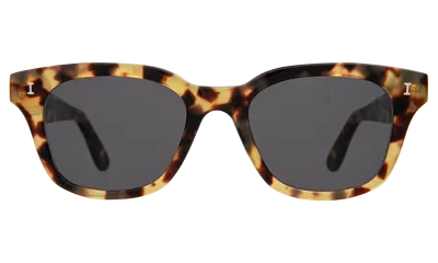 Illesteva Melrose Sunglasses In Tortoise / Grey Flat