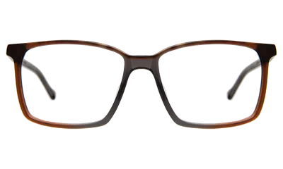 Illesteva Middlesbrough Optical In Split Sand Grey / Optical